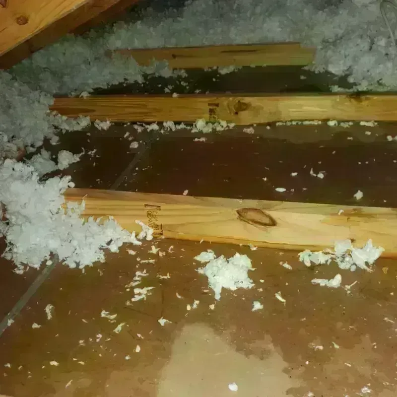 Attic Water Damage in New Vienna, OH