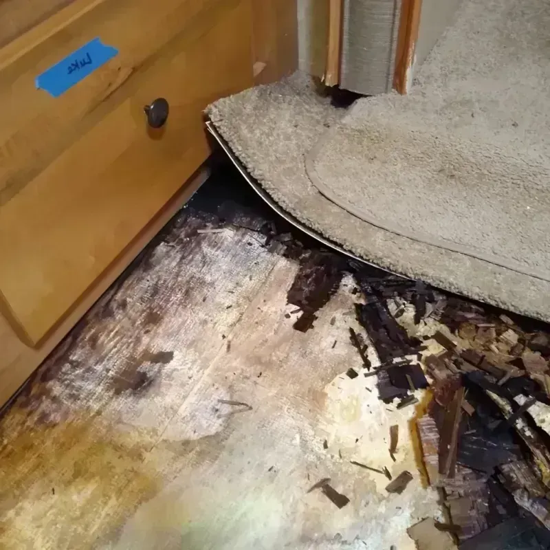 Wood Floor Water Damage in New Vienna, OH